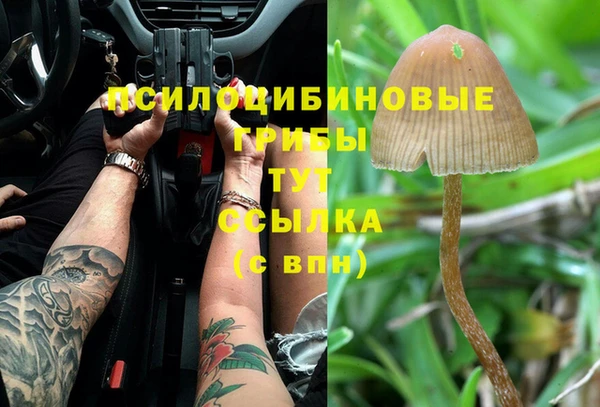 герыч Нягань