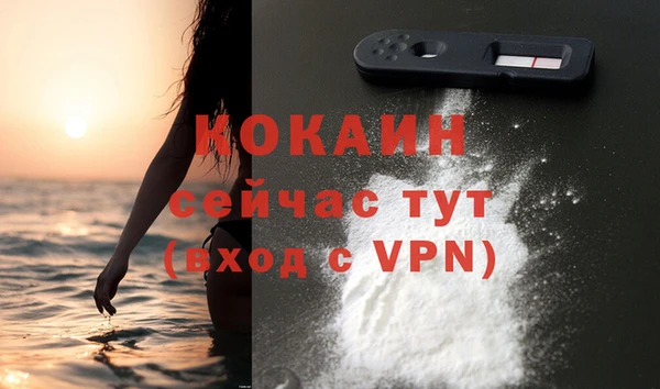 ГАЛЛЮЦИНОГЕННЫЕ ГРИБЫ Няндома